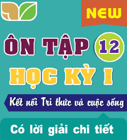 Ôn tập Học kỳ I (KNTT_12)